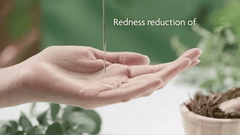 Anua 77% Soothing Toner For Skin
